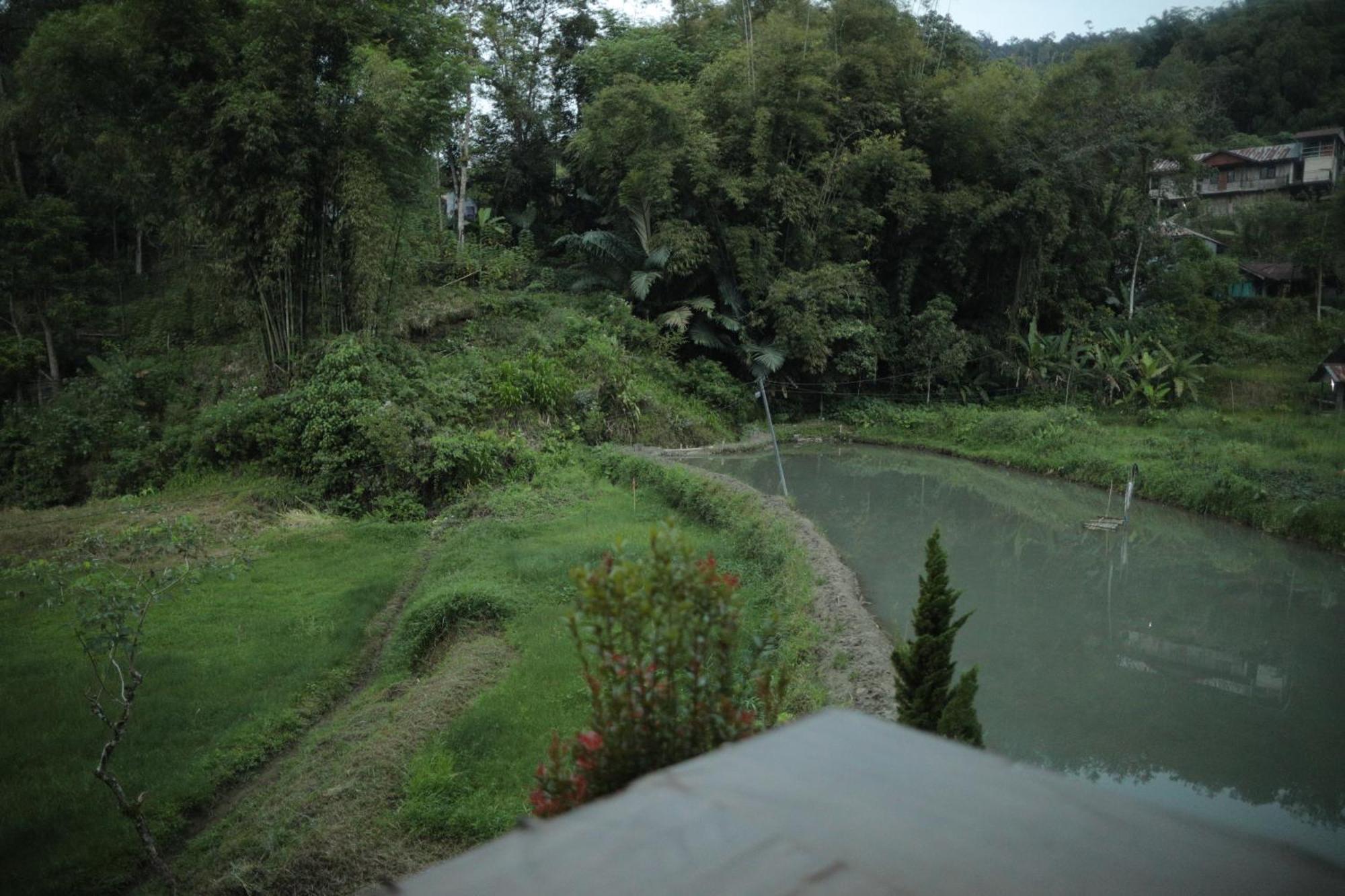 Mama Tia Family Homestay Rantepao Bagian luar foto